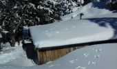 Tocht Sneeuwschoenen Corrençon-en-Vercors - la cabane de Goupette et cabane de Carette CORENCON - Photo 8