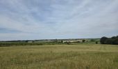 Excursión Senderismo Eijsden-Margraten - Mheer - Photo 11