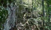 Tour Wandern Céret - pic des salines depuis fontfrede via coll del pou de la neu . pic des salines .coll des cirerers  . fontfrede - Photo 15