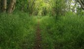 Tour Mountainbike Caen - sortie dans les marais de vimont  - Photo 6