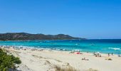 Randonnée Marche Santo-Pietro-di-Tenda - Le sentier côtier entre la plage de Seleccia et celle de Lotu - Photo 11