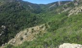 Trail Walking Rosis - Le sommet du Plo des Brus dans l'Espinouse - Photo 5