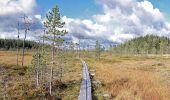 Tocht Te voet Saarijärvi - Kotajärven polku - Photo 10