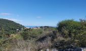 Excursión Senderismo La Turbie - fort de la Revère - Photo 4