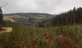 Trail Walking Stavelot - Francorchamps roannay rive gauche - Ruy retour rive droite - Photo 7