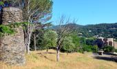 Trail Walking Collobrières - SityTrail - Collobriéres - Menhirs de Lambert - Photo 6