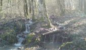 Tour Wandern Sentheim - la boucle du marché - Photo 3