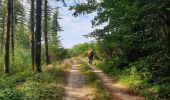 Tour Wandern Vresse-sur-Semois - Balade à Chairière - Vresse sur Semois - Photo 9