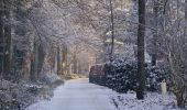 Randonnée A pied Losser - Wandelnetwerk Twente - groene route - Photo 10