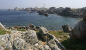 Randonnée Marche Ouessant - Lampaul - tour nord d'Ouessant - Photo 17
