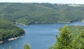 Tour Zu Fuß Heimbach - Wanderweg T2 ( Heimbach) - Photo 8