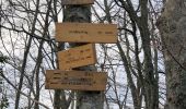 Trail Walking Saint-Alban-Leysse - MontBasin-2020-12-17 001 - Photo 2
