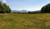 Randonnée Marche Villé - Le massif de la Honel - Photo 9