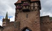 Percorso Marcia Châtenois - Le Hahnenberg et les balcons de Sélestat - Photo 3