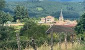 Tour Wandern Saint-Nizier-d'Azergues - Saint-Nizier-d'Azergues (14 km - D. 577 m) - Photo 1