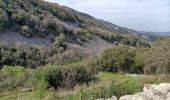 Trail Walking Buoux - la vallée de l'aigueb - Photo 2