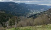 Excursión Senderismo Cornimont - Col du Brabant - Roche du Lac via Collet-Masuy - Photo 12