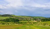 Tocht Stappen Nailly - Boucle 25 km autour de Nailly  - Photo 2