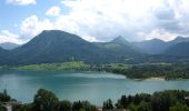 Tocht Te voet St. Wolfgang im Salzkammergut - Vormaueralmweg - Photo 8