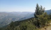 Trail Walking Beaumont-du-Ventoux - bergerie de l avocat le contrat - Photo 1