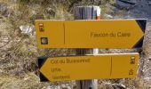 Tour Wandern Faucon-du-Caire - FAUCON DU CAIRE . LE CLASTRE .  SERRE DE MALAMORT COL DU BUISSONNET O L S - Photo 2