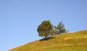 Tour Zu Fuß Valdidentro - (SI D35N) Rifugio Monte alle Scale (Cancano) - Rifugio Campo - Photo 3