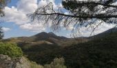 Trail Walking Argelès-sur-Mer - Mas Cristina: Par les trois mas - Photo 14