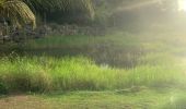 Trail Running Sainte-Anne - Liard saint Robert - Photo 2