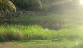 Tocht Lopen Sainte-Anne - Liard saint Robert - Photo 2