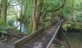Trail Walking Sentheim - Randonnée Pentecôte 2024 - Photo 2