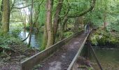 Tour Wandern Sentheim - Randonnée Pentecôte 2024 - Photo 2