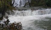 Tocht Stappen Arbois - Arbois 22 oct 2019 CAF - Photo 15