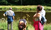 Trail Walking La Roche-en-Ardenne - Maboge, champs Thomas - Photo 1