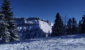 Tocht Ski randonnée Saint-Pierre-d'Entremont - la Scia par le Planolet - Photo 1