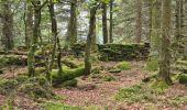 Tocht Stappen Lutzelhouse - Rocher de Mutzig (variante) - Photo 10