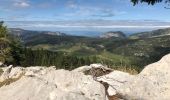 Randonnée Marche Thônes - Les Glières depuis le Crêt - Photo 11