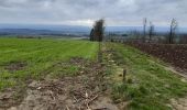 Tour Wandern Havelange - Gros Chêne - Photo 3