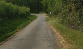 Trail Walking Lentilly - sentier bois des tannerie Lentilly - Photo 4