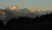 Tour Zu Fuß Crans-Montana - Montagne du Plan - Trubelstock - Photo 1