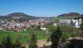 Tour Zu Fuß Gomadingen - Traufgang 