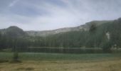 Trail Walking Seyne - Dormillouse lac noir lac du milieu lac de la cabane  - Photo 4