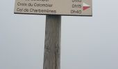 Tocht Stappen Culoz - le grand colombier - Photo 4