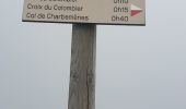 Tour Wandern Culoz - le grand colombier - Photo 4