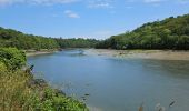 Tour Wandern Lannion - 2024 RA J4b Bretagne costamoricaine  - Photo 4