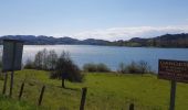 Tour Wandern Nances - Lac Aigbellete - Photo 5