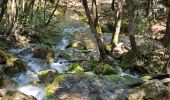 Trail Walking Nans-les-Pins - De Nans les pins vers les sources de l'Huveaune - Photo 12