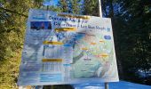 Trail Walking Gérardmer - Les Bas-Rupts - Les Hautes Vannes
[Par Les Lattes - 3]  - Photo 11