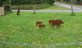 Tocht Stappen Stoumont - La Gleize (Ruy - Exbomont - Mont des Brumes) - Photo 5