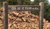 Trail On foot Saint-Raphaël - 2 pics et 3 cols depuis le parking d' Antheor - Photo 15