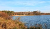 Tocht Te voet Kladruby nad Labem - [Č] Kladruby - Přelouč - Photo 8